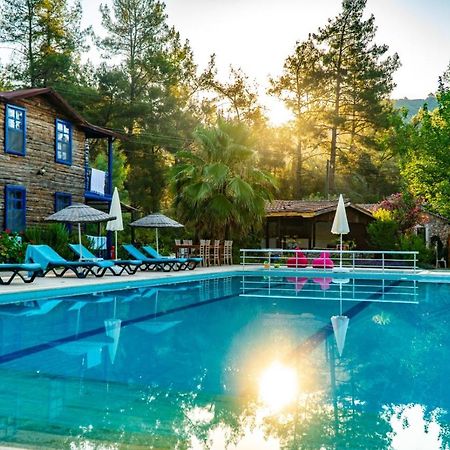Hotel Olympos Forest House Yazir  Esterno foto