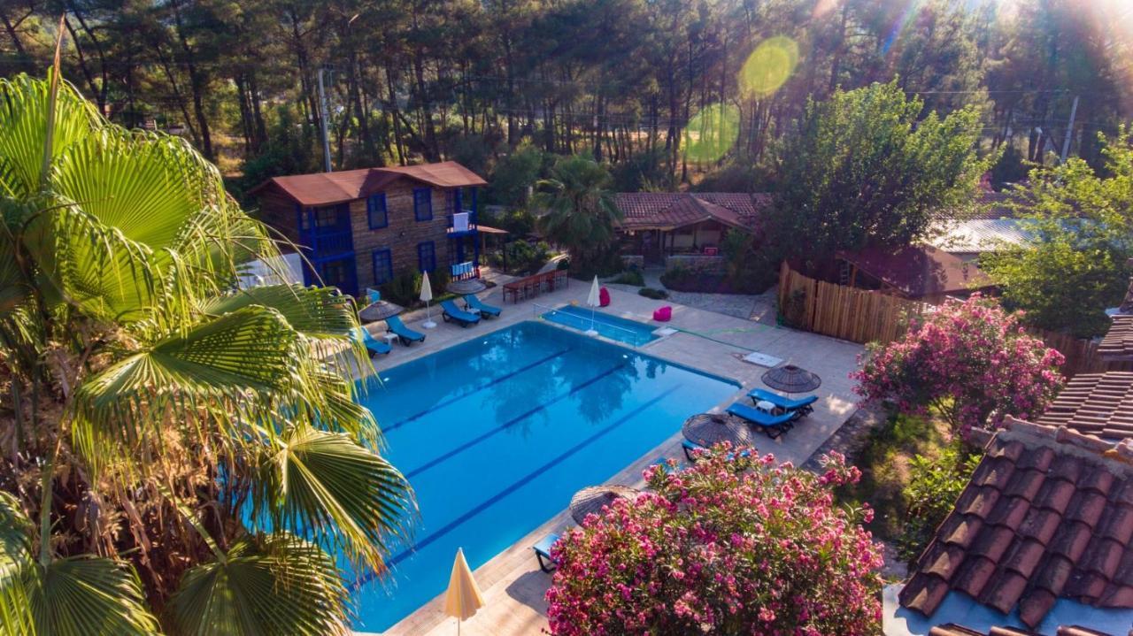 Hotel Olympos Forest House Yazir  Esterno foto